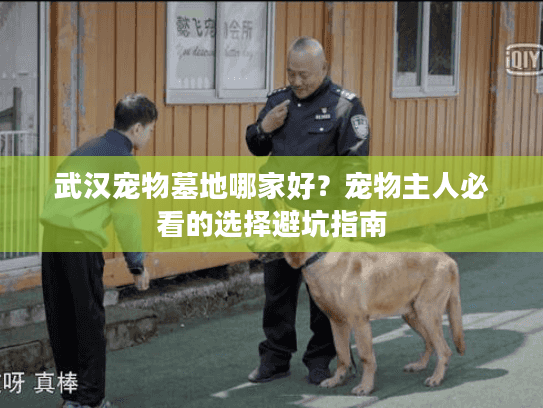 武汉宠物墓地哪家好？宠物主人必看的选择避坑指南