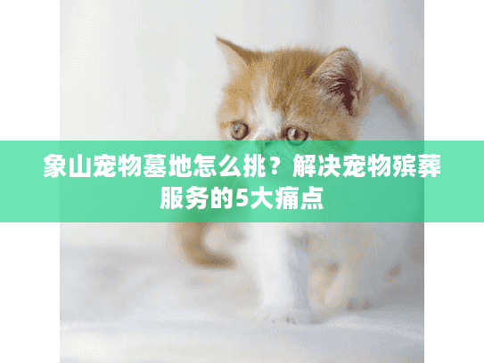 象山宠物墓地怎么挑?解决宠物殡葬服务的5大痛点 象山宠物墓地怎么挑?解决宠物殡葬服务的5大痛点