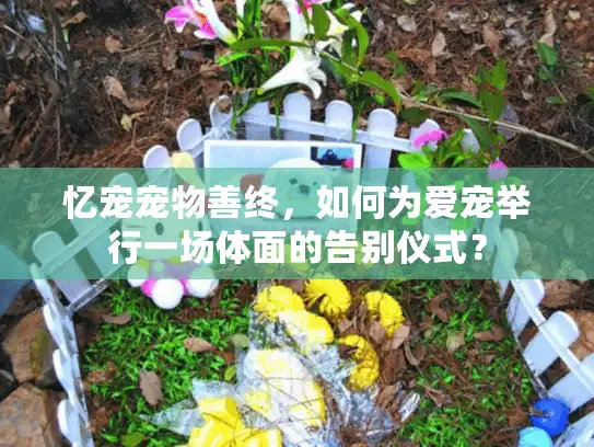 忆宠宠物善终,如何为爱宠举行一场体面的告别仪式? 忆宠宠物善终,如何为爱宠举行一场体面的告别仪式?
