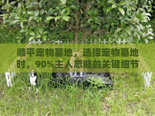 顺平宠物墓地，选择宠物墓地时，90%主人忽略的关键细节是什么？