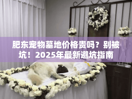 肥东宠物墓地价格贵吗？别被坑！2025年最新避坑指南