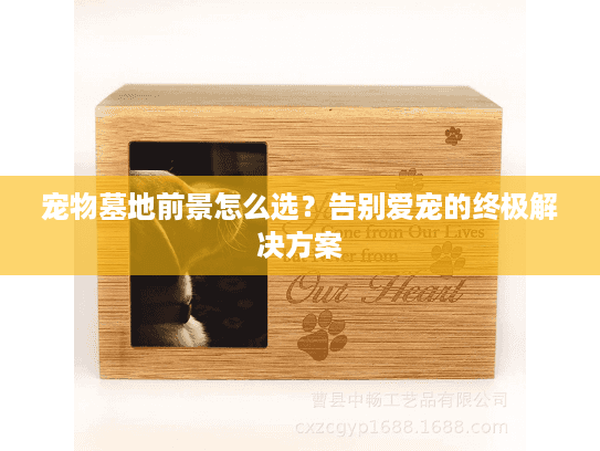 宠物墓地前景怎么选？告别爱宠的终极解决方案