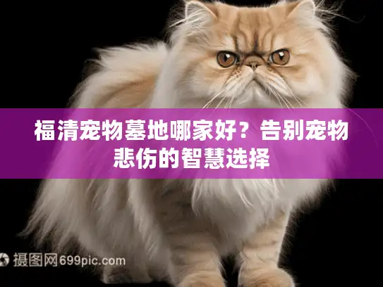 福清宠物墓地哪家好？告别宠物悲伤的智慧选择