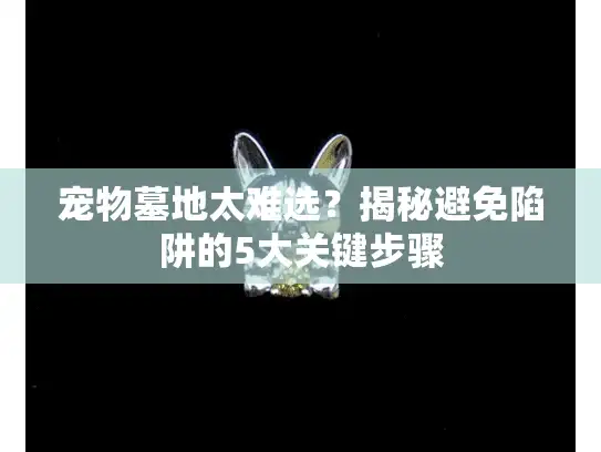宠物墓地太难选?揭秘避免陷阱的5大关键步骤 宠物墓地太难选?揭秘避免陷阱的5大关键步骤