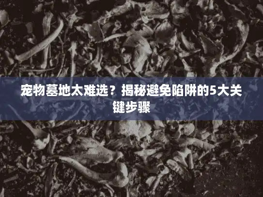 宠物墓地太难选?揭秘避免陷阱的5大关键步骤 宠物墓地太难选?揭秘避免陷阱的5大关键步骤