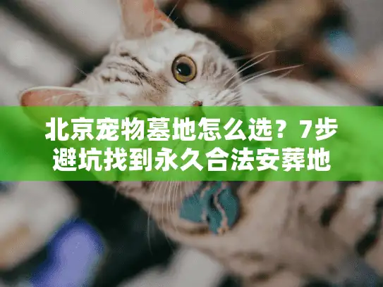 北京宠物墓地怎么选？7步避坑找到永久合法安葬地