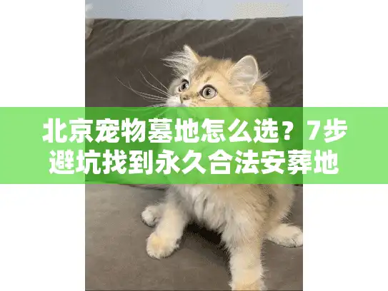 北京宠物墓地怎么选？7步避坑找到永久合法安葬地