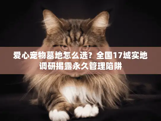 爱心宠物墓地怎么选？全国17城实地调研揭露永久管理陷阱