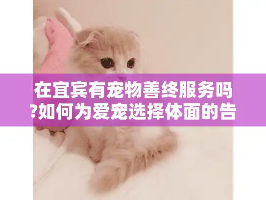 在宜宾有宠物善终服务吗?如何为爱宠选择体面的告别方式