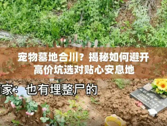 宠物墓地合川？揭秘如何避开高价坑选对贴心安息地