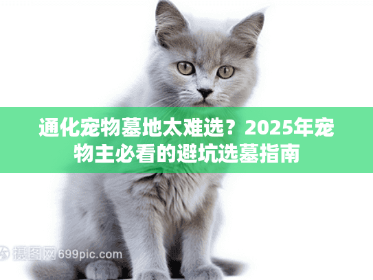 通化宠物墓地太难选？2025年宠物主必看的避坑选墓指南