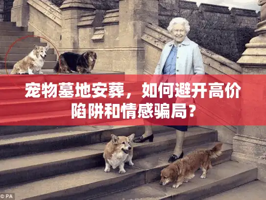 宠物墓地安葬，如何避开高价陷阱和情感骗局？