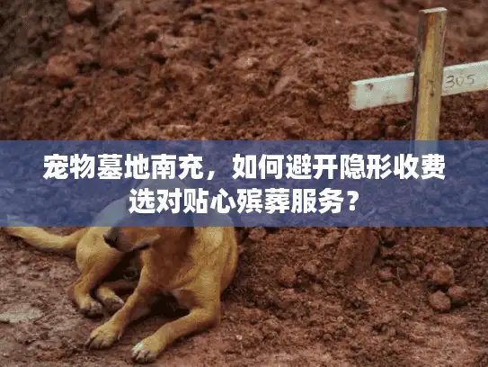 宠物墓地南充，如何避开隐形收费选对贴心殡葬服务？