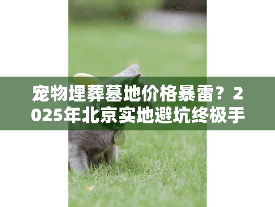 宠物埋葬墓地价格暴雷？2025年北京实地避坑终极手册