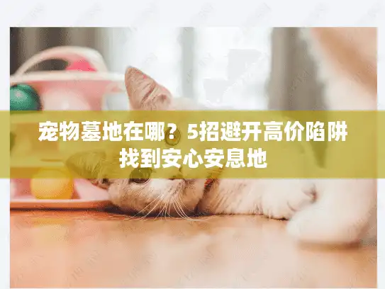 宠物墓地在哪？5招避开高价陷阱找到安心安息地