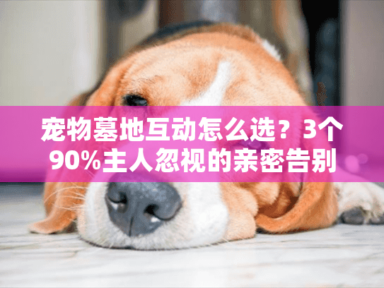 宠物墓地互动怎么选?3个90%主人忽视的亲密告别技巧 宠物墓地互动怎么选?3个90%主人忽视的亲密告别技巧
