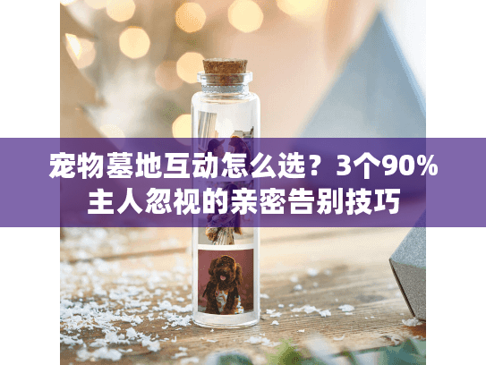 宠物墓地互动怎么选?3个90%主人忽视的亲密告别技巧 宠物墓地互动怎么选?3个90%主人忽视的亲密告别技巧