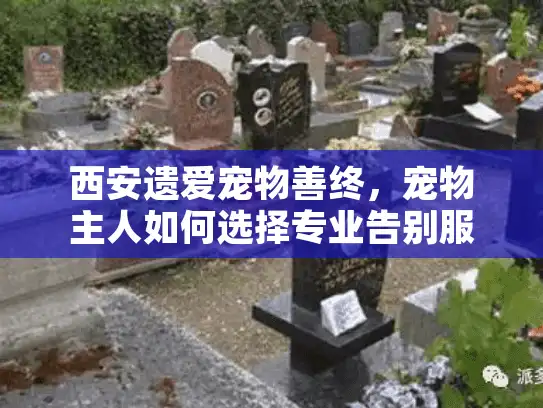 西安遗爱宠物善终，宠物主人如何选择专业告别服务?