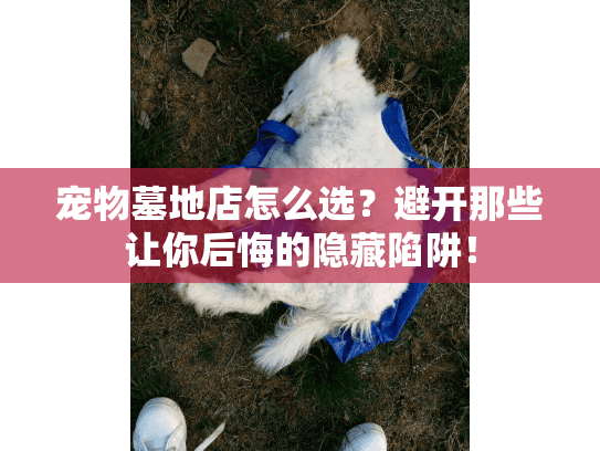 宠物墓地店怎么选？避开那些让你后悔的隐藏陷阱！