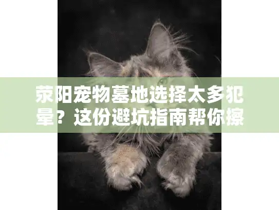 荥阳宠物墓地选择太多犯晕？这份避坑指南帮你擦亮眼