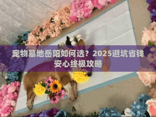 宠物墓地岳阳如何选？2025避坑省钱安心终极攻略