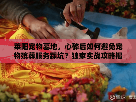莱阳宠物墓地，心碎后如何避免宠物殡葬服务踩坑？独家实战攻略揭晓