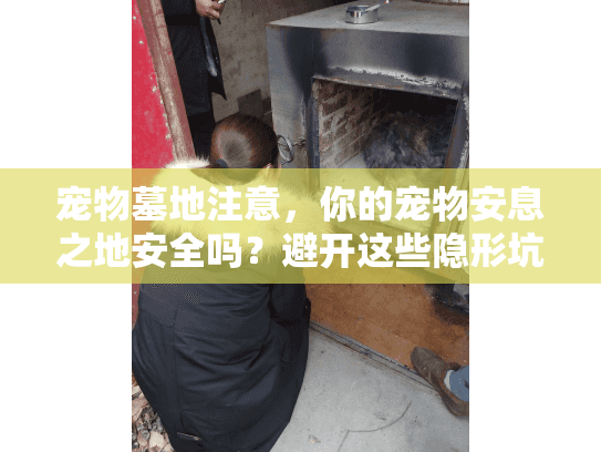 宠物墓地注意，你的宠物安息之地安全吗？避开这些隐形坑！