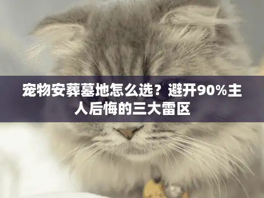 宠物安葬墓地怎么选？避开90%主人后悔的三大雷区