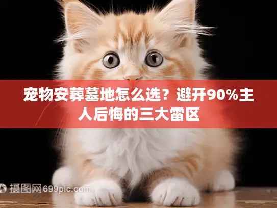 宠物安葬墓地怎么选？避开90%主人后悔的三大雷区