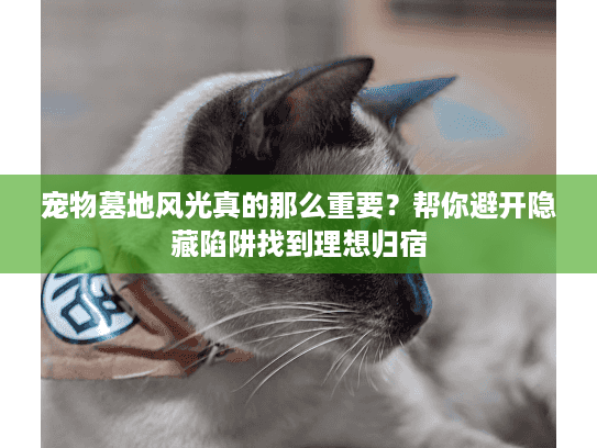 宠物墓地风光真的那么重要？帮你避开隐藏陷阱找到理想归宿