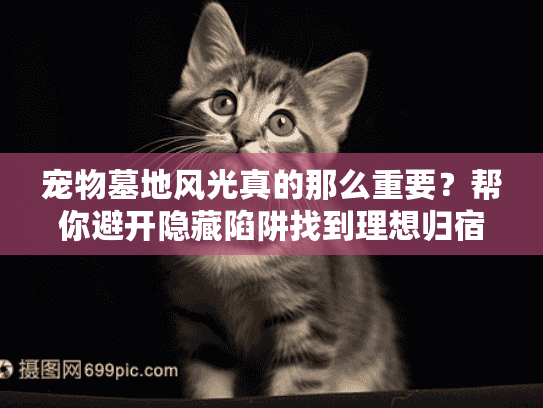 宠物墓地风光真的那么重要？帮你避开隐藏陷阱找到理想归宿