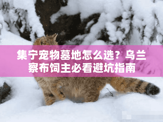 集宁宠物墓地怎么选?乌兰察布饲主必看避坑指南 集宁宠物墓地怎么选?乌兰察布饲主必看避坑指南