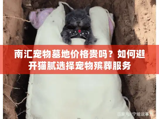 南汇宠物墓地价格贵吗？如何避开猫腻选择宠物殡葬服务
