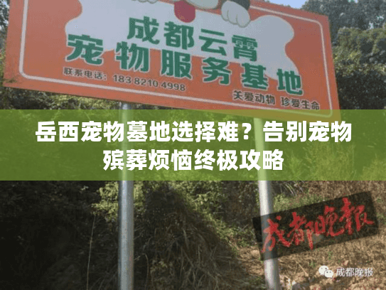 岳西宠物墓地选择难？告别宠物殡葬烦恼终极攻略