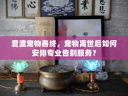 爱渡宠物善终，宠物离世后如何安排专业告别服务？