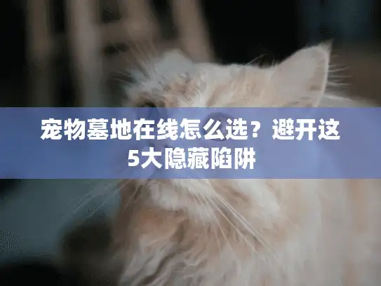 宠物墓地在线怎么选?避开这5大隐藏陷阱 宠物墓地在线怎么选?避开这5大隐藏陷阱
