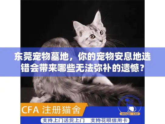 东莞宠物墓地，你的宠物安息地选错会带来哪些无法弥补的遗憾？