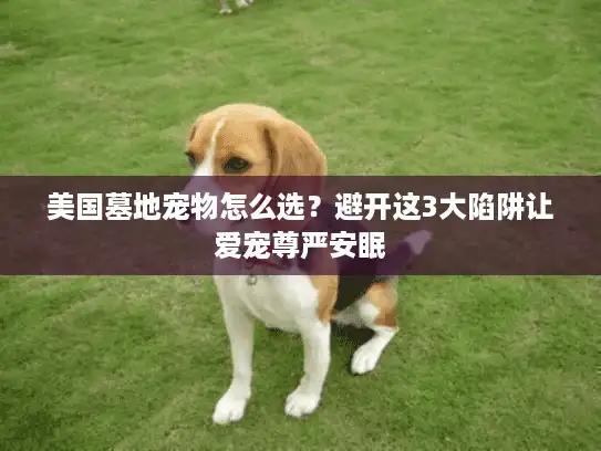 美国墓地宠物怎么选？避开这3大陷阱让爱宠尊严安眠