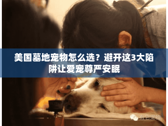 美国墓地宠物怎么选？避开这3大陷阱让爱宠尊严安眠