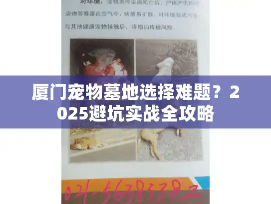 厦门宠物墓地选择难题?2025避坑实战全攻略 厦门宠物墓地选择难题?2025避坑实战全攻略