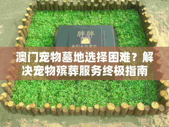 澳门宠物墓地选择困难？解决宠物殡葬服务终极指南