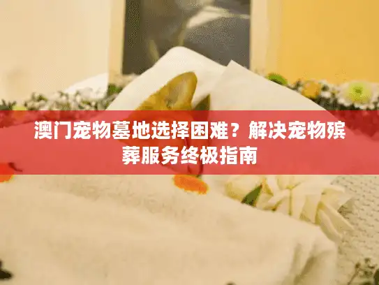澳门宠物墓地选择困难？解决宠物殡葬服务终极指南