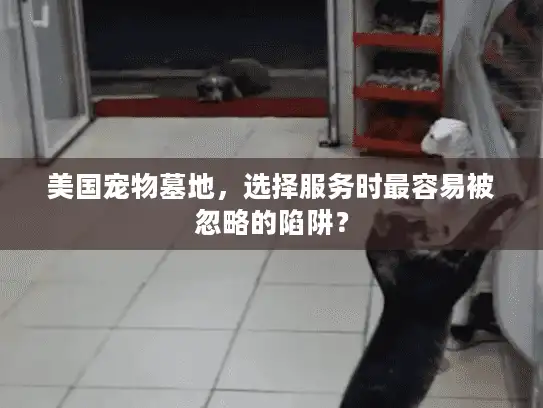 美国宠物墓地,选择服务时最容易被忽略的陷阱? 美国宠物墓地,选择服务时最容易被忽略的陷阱?