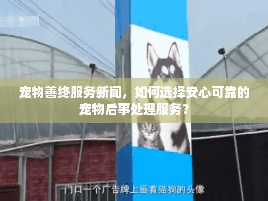宠物善终服务新闻，如何选择安心可靠的宠物后事处理服务？