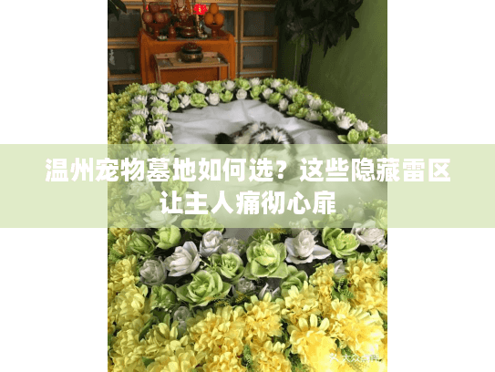 温州宠物墓地如何选?这些隐藏雷区让主人痛彻心扉 温州宠物墓地如何选?这些隐藏雷区让主人痛彻心扉