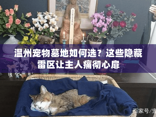 温州宠物墓地如何选?这些隐藏雷区让主人痛彻心扉 温州宠物墓地如何选?这些隐藏雷区让主人痛彻心扉