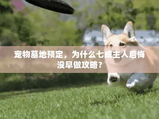 宠物墓地预定，为什么七成主人后悔没早做攻略？