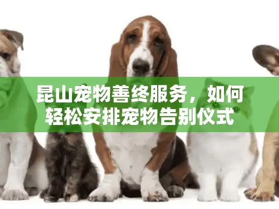 昆山宠物善终服务，如何轻松安排宠物告别仪式