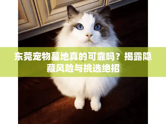 东莞宠物墓地真的可靠吗？揭露隐藏风险与挑选绝招