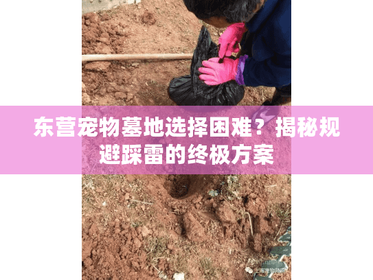 东营宠物墓地选择困难?揭秘规避踩雷的终极方案 东营宠物墓地选择困难?揭秘规避踩雷的终极方案